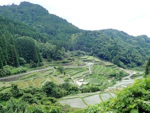 田植えシーズンの棚田