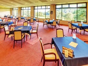 窓から差し込む柔らかな光と緑の彩り。開放的な空間で味わう自慢の食材をどうぞ