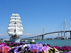 �y�C���ۃp�[�N�z���D�u�C���ہv���펞�┑���Ă���A�D�����w���\�ł��B