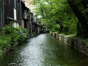 木屋町通