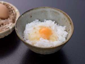 【お食事】小ぶりですが味は濃厚 お醤油も美味!な土佐ジロー卵掛け御飯