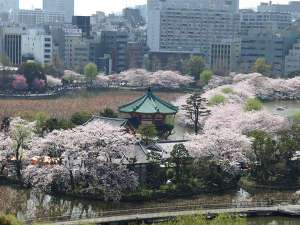 上野恩賜公園
