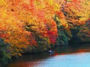 本州一遅い紅葉、見頃は11月下旬〜12月中旬