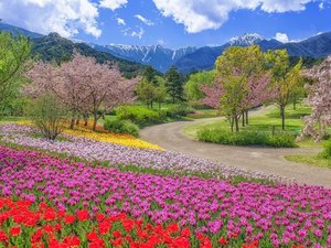 �m�A���v�X���Â݂̌����n4�����{�`4�����{(�����̖ڈ�)�^�z�e������Ԗ�50��(�������H+��ʓ�)