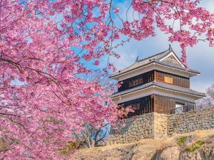 �m��c��Ղ̍��n4����{�`4�����{(�����̖ڈ�)�^�z�e������Ԗ�50��