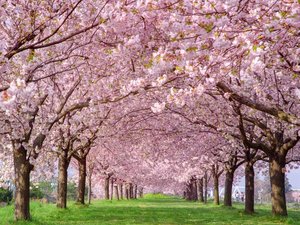 �m��Ȑ��h�̍��n4�����{�`4�����{(�����̖ڈ�)