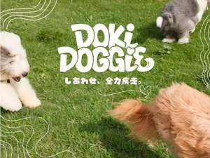 Doki Doggie �郖���V����BASE�̎{�ݎʐ^1