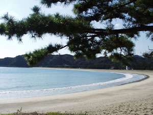 �Â��Ȕg�ł��ۂ̋|���l�B���{�̏��S�I�ɂ��I�΂�Ă���B