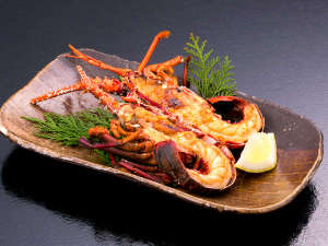 �ɐ��C�V�̋S�k�Ă�