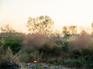 �O�ρE�K�[�f��