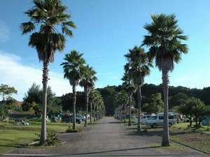 【四国／徳島県阿南・日和佐・宍喰の貸別荘・コテージ】まぜのおかオートキャンプ場