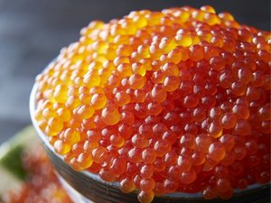 �y���Y������z���H�ו���I�C�̍K�Ə{�̖��������\��������