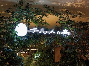 �e�����̐X�C���[�W