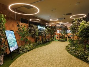 �e�����̐X�C���[�W