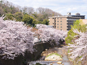 春は有馬川添いの桜並木が美しい(徒歩10分)