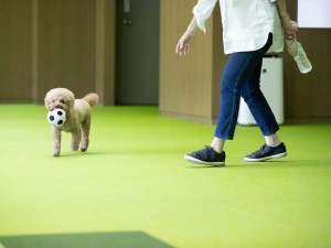 愛犬の宿 コレドール湯河原 Dog Resortのペット 宿泊予約は じゃらん