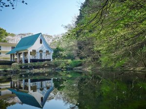 美しい森林に包まれたフォレストガーデン
