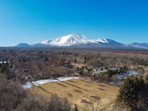 �k�y���X�E�B�[�g�O���X�̎ʐ^