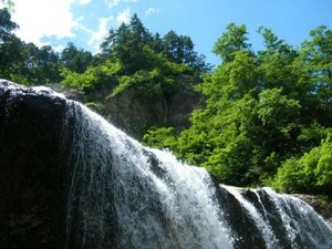 ���R�z���C�g���[�h�g�W�P��