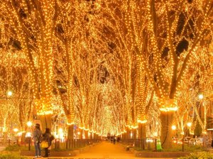 【当館から徒歩5分】「定禅寺通」ケヤキ並木が美しい通り、光のページェントも有名です