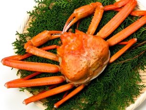 紅ずわい蟹を使った冬の味覚満載の会席料理