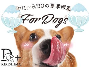 �ċG����̂����X�T�[�r�X�I2024�N��7/1�`9/30�̒񋟂ƂȂ�܂��B