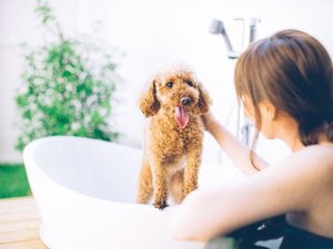 �����ƈꏏ�Ɍ��򂩂�������������y���݂��������B