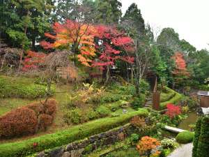■庭園■ 〜季節の移ろいをお楽しみ下さい〜