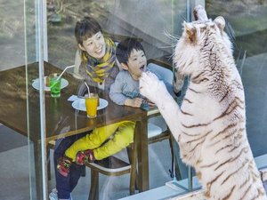 【アニマルキングダム】当館から車で15分♪動物を見て触れてお子様から大人まで楽しい!