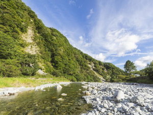 【SPRINGS VILLAGE】暑さを忘れる透明な流れ。足柄丹沢で、ひんやり夏休み。