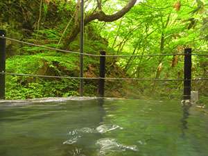 �y���쌧:����E�ˉB�E���z�{�z��l�I�V�╗�C�ƌk�J���̏h �R�c���� ���i��