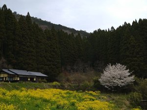 宿　田の花の施設写真1
