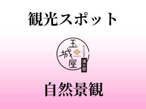 �ό��X�|�b�g�@���R�i��