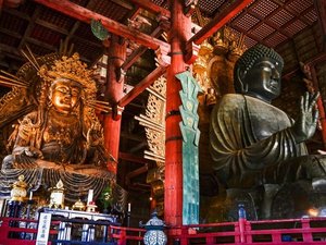 �y���ق���k��30���z�ޗǂ̑啧�����鐢�E�ő�̖ؑ����z���Ƃ��Ēm����u���厛�v