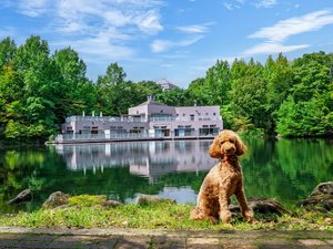 �z�e���G�s�i�[���ߐ{�̎ʐ^