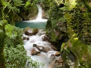 �y�֟��z���ɂ܂��Z��̖��b���c��A����6m�̐_��I�ȑ�B