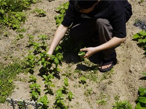 さがす