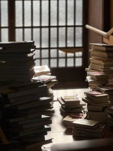 にやっと図書館の本