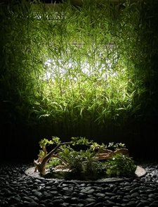 別館エレベーター前