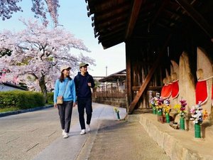 JR竹田駅裏の寺町通り。春は桜とお地蔵様。竹田城登山口もお近くです。