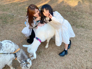 �����M���񂨎U���̌�/�����O�i�䂫�����A�ӂ������A�ނ������j�R�l��
