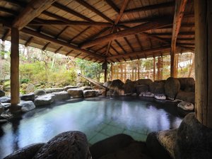 季節のこだわりバイキングと美肌の湯の宿 仙渓園 月岡ホテルの写真
