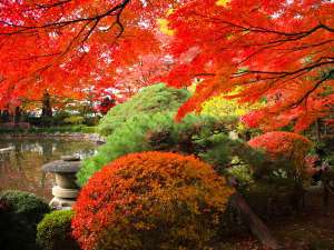 秋の紅葉で美しく彩った庭園。