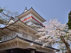 千秋公園桜まつり〈秋田市:春〉【提供@秋田県観光連盟】