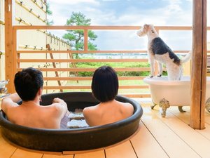 �X�[�y���A���񉮑���I�V���C�t����@2201