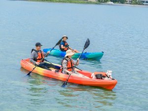 �J���b�N�̌�