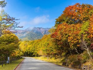 【秋の風景】