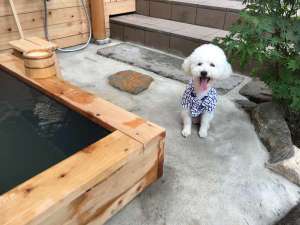 和室6畳とデラックスツイン【大露天6坪東屋風屋根付檜風呂】