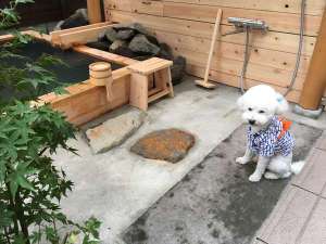 和室6畳とデラックスツイン【大露天6坪東屋風屋根付檜風呂】