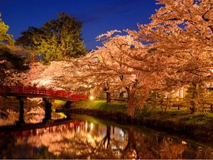 ���u�}�b�N�X���]�[�g������̎ʐ^